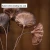Import Dried lotus dried lotus dried flower bouquet of dried lotus natural dried flowers living room floor-type furniture from China