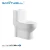 Import Easy Cleaning One Piece Washdown Toilets with Standard Height for Multifunctional Use from China