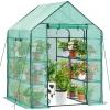 Eco-Friendly High Quality Outdoor Tunnel Green House Walking In Greenhouse For Home Garden