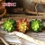 Import Eco-friendly PVC Material Artificial Lotus Succulent Plants for Hotel Decoration from China