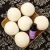 Import Eco-frinedly wool dryer ball for home from China