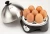Import Electric 7 Eggs Capacity Egg Cooker Egg Boiler from China