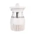 Import electric flies insect control mosquito killer lamp fan suction insect trap from China