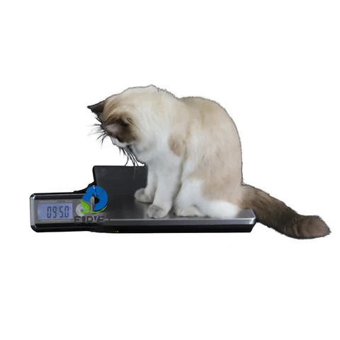 EUR PET Factory Supply Digital Pet Ground Weighting Measuring Electronic Sensitive Portable Scale Machine