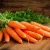 Import export juicy delicious bulk sweet fresh red carrot from China