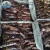 Import Factory direct sale frozen whole round new arrival black squid from China