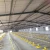 Import Factory direct sales  farm professional super cheap  chicken broiler floor rearing feeding system from China