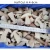 Import Factory Directly supply porcini mushrooms Yunnan wild frozen Boletus edulis IQF Fungus mushroom from China