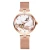 Import Fashion Beautiful Pearl Shell Dial Rose Gold Automatic Watches Women With Genuine Leather Strap from China