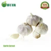 Fast Delivery Free samples Standardized chinese garlic extract