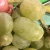 Import Flesh Seedless Grapes 100% Quality Fresh Grapes from South Africa