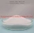 Import Food Ingredient Sodium Propionate Powder &amp; Granular CAS Number: 137-40-6 from China