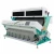 Import For walnut raisin nut red lentil chickpea colour sorter plastic almond sorting machine from China
