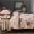 Import Four seasons fantasy solid flannel  4 PCs bedding sets for four seasons from China