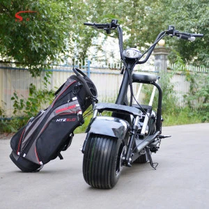 Free Shipping Citycoco removable battery electric scooter golf bag