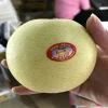 Fresh asian pear high quality super pear
