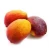 Import Fresh fruit green organic mango from China from China