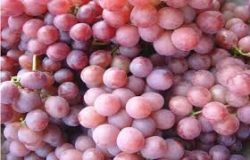 fresh grapes for sale