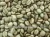 Import Fresh Indian Arabica Coffee Beans Price from India