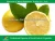 Import fresh lime and lemons from China
