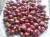 Import Fresh Natural Indian Small Onion From Tamil Nadu from India