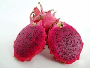 FRESH RED & WHITE DRAGON FRUITS FOR SALE ( BEST QUALITY )