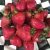 Import Fresh Strawberries Raw Fresh Quality Strawberry from South Africa