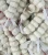 Import Fresh Style Liliaceous Vegetable Product Type fresh white garlic from China