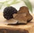Import Fresh White and Black Truffles -- Italian Alba Winter Truffles - Summer Truffle Wholesale from China