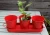 Import GALVANIZED ZINC METAL HERB FLOWER POTS PLANTER SET OF 3 ON TRAY from China