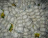 Garlic Garlic New Crop With High Quality Chinese Pure White Garlic Wholesale