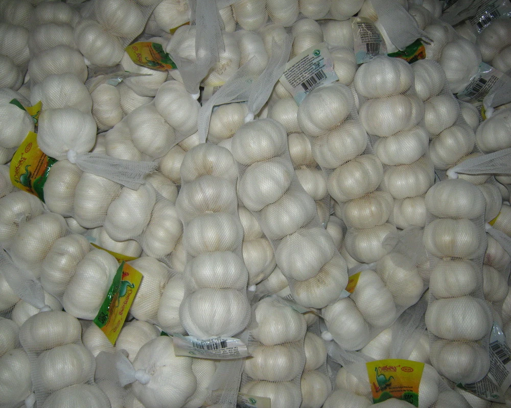 Garlic Garlic New Crop With High Quality Chinese Pure White Garlic Wholesale