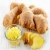 Import Ginger  -Mature Fresh Chinese Ginger 150g PVC Carton from Germany
