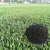 Import good price recycled SBR rubber granule china made wholesale factory direct black powder from China
