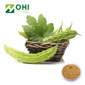 Good quality bitter melon seeds extract/bitter melon powder for sale