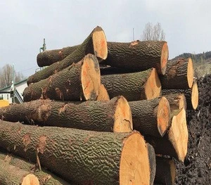 grade A B C Logs are available Pine/beech oak logs