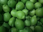 Green lemon/ Fresh lime/ fresh lemon seedless for sale