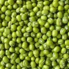 Green Mung Bean/ Green Moong Beans LOW PRICE