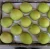 Import Green/Yellow Ya pear/Early Su pear/Crown pear from China