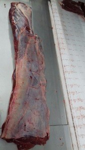 Halal Frozen Beef Carcass, Forequarter, Hindquarter, Offals, Trimming