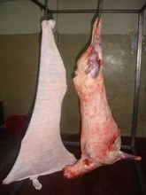 Halal Frozen Beef Carcass / Frozen beef feet / Frozen beef Head