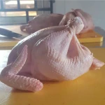 halal frozen chickens for sale,all parts available