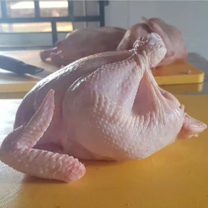 halal frozen chickens for sale,all parts available