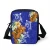 Import Hawaiian Shoulder bag for ladies Polynesian Hibiscus sea turtle Prints women casual messenger bags 2021 brand mini phone-bags from China