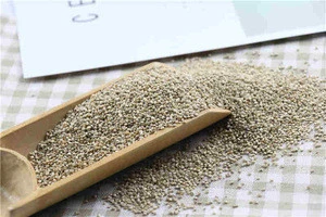 Health, Safety And Nutrition Semences Instantanea Quinoa Grainsindian