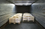 High Grade  Cashew Raw Nuts/ 100% Dried Cashew Nut