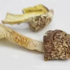 High quality and High-grade healthcare supplement dried mushroom for Cancer patients OEM available