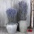 Import High quality artificial natural lavender dried flower from China