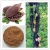 Import High Quality cocoa powder price/Alkalized Cocoa Powder from China