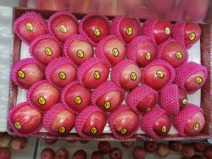 High Quality Fresh Royal Apples Farm Fruit Market Prices Gala Apple`
